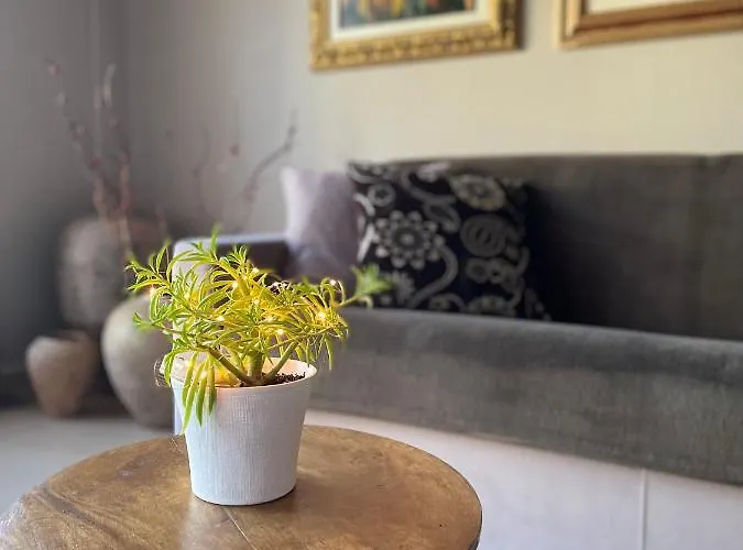 Vivienda Del Sol Tatil Evi